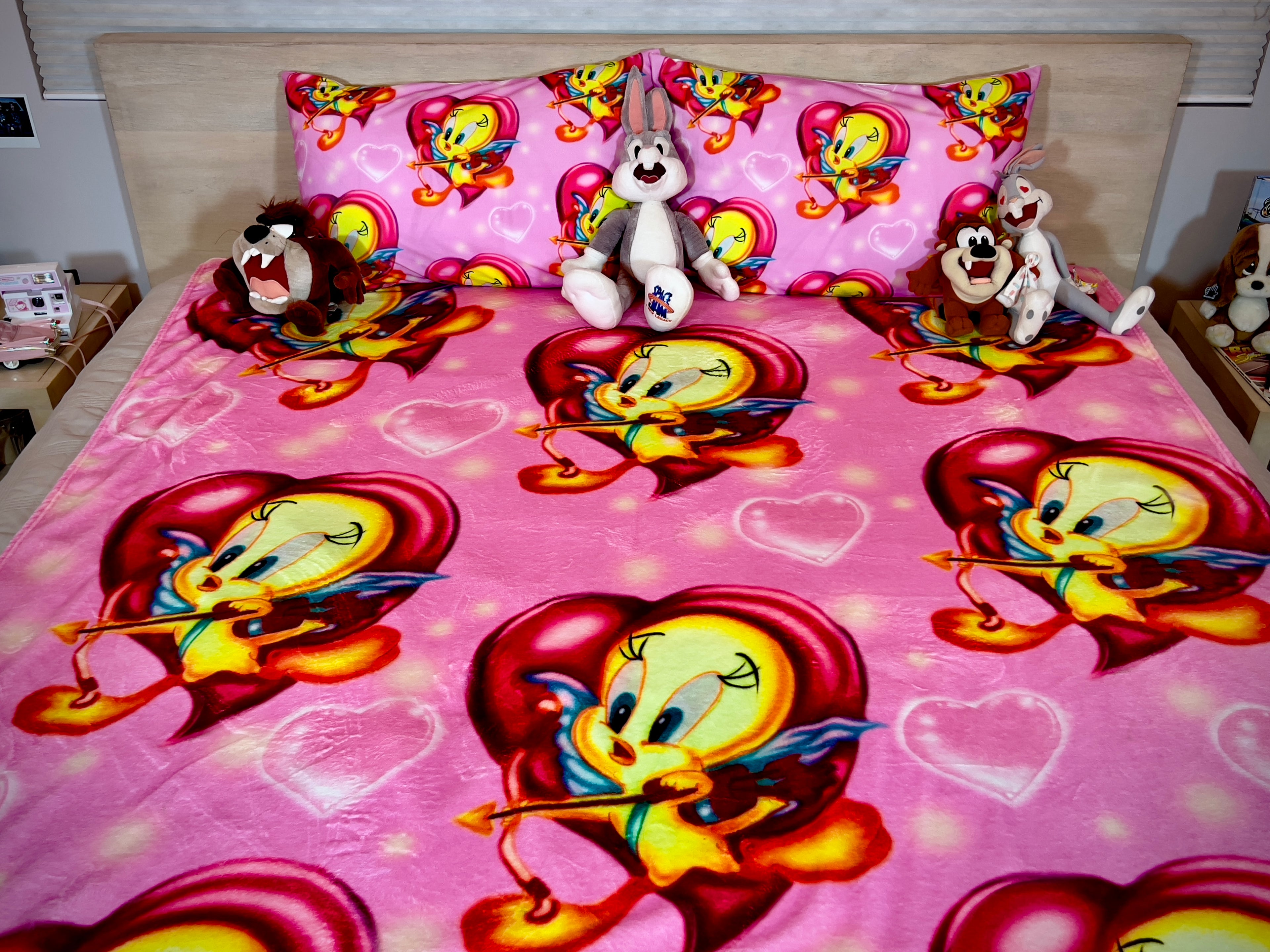 LIMITED EDITION EXTRA LARGE 'TWEETY LOVE' Hearts Airbrush Y2K Fleece Blanket (PINK) *Limited Edition