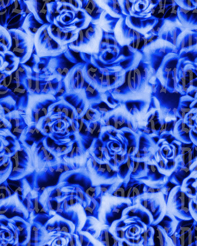 Glamour Shotz ROSAS AZUL Airbrushed Backdrop BLUES (Extra Large)