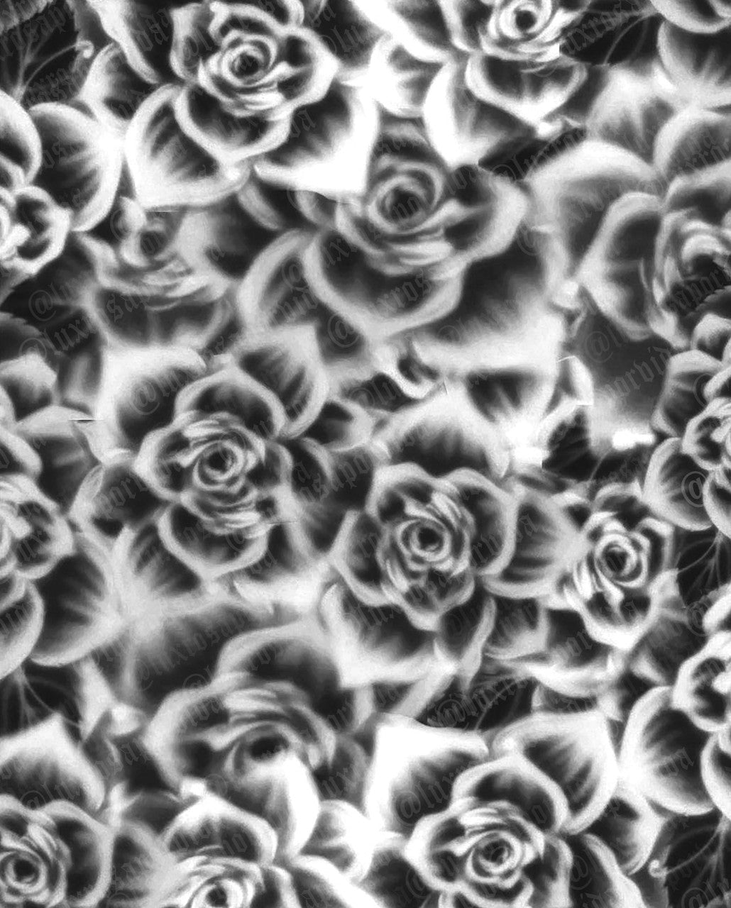 Glamour Shotz 'ROSAS BLANCAS Y NEGRAS' Airbrushed Backdrop BLACK/WHITE/GREY (Extra Large)