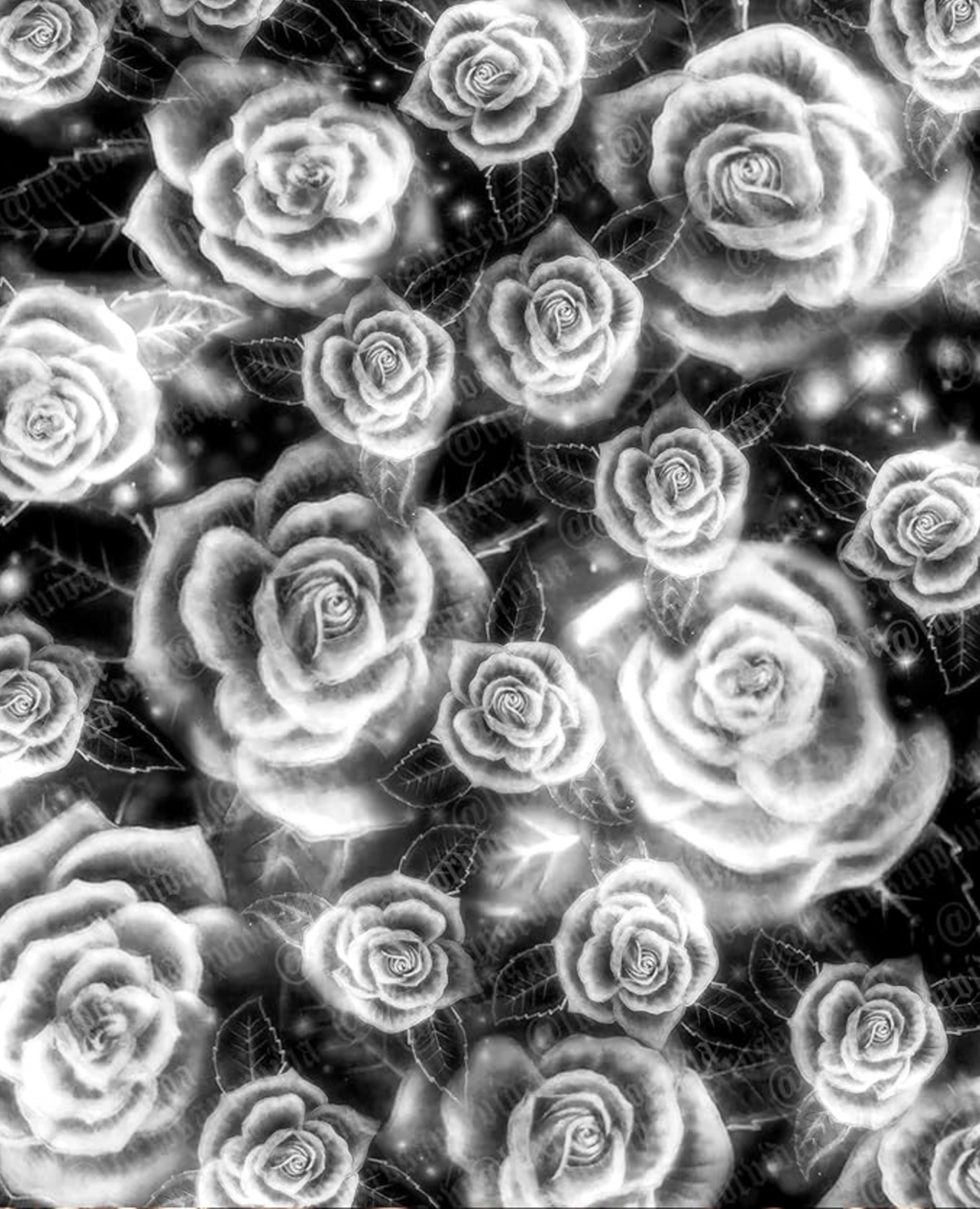 Airbrush Y2K Early 2000s 'Full Bloom' Rose 90s Old School Backdrop (BLACK/WHITE) (Extra Large)