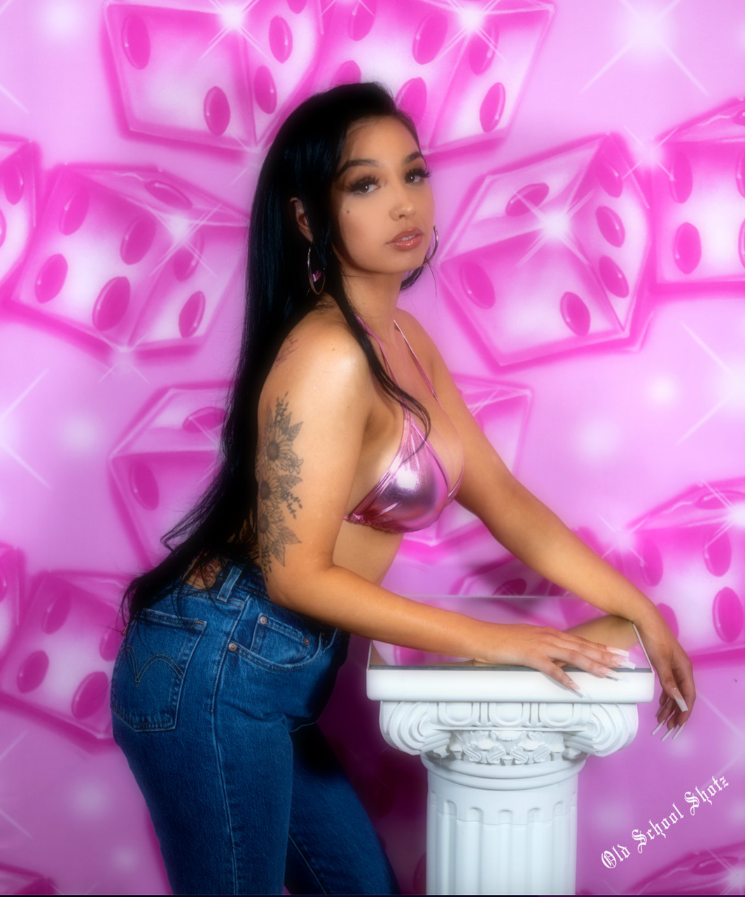 EXTRA EXTRA LARGE EXCLUSIVE EARLY 2000s Y2K 'LADY LUCK' Glamour Shots Airbrush 90s Studio Backdrop (PINK) (XXL) Exclusive!!