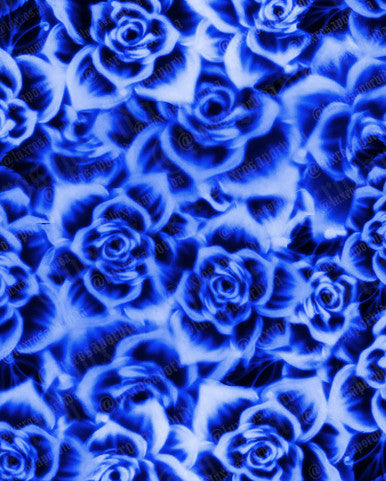 Glamour Shotz ROSAS AZUL Airbrushed Backdrop BLUES (Extra Large)