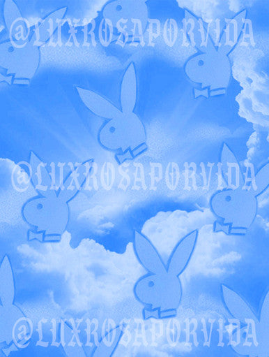 Glamour Shotz  Clouded Bunnies  Airbrushed Backdrop LIGHT BLUE (X-Large)