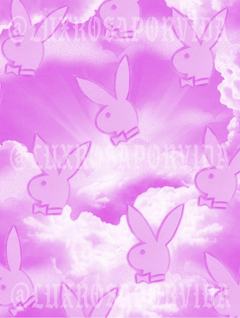 Glamour Shots Clouded Bunnies  Airbrushed Backdrop LIGHT PINK (X-Large)