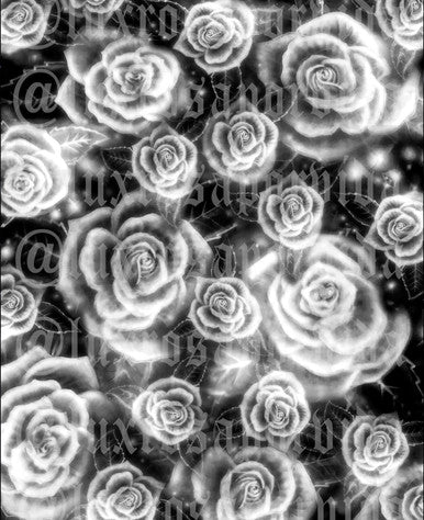 LIMITED EDITION Glamour Shotz  Airbrushed 'Full Bloom' Backdrop (BLACK/WHITE) (Extra Large)