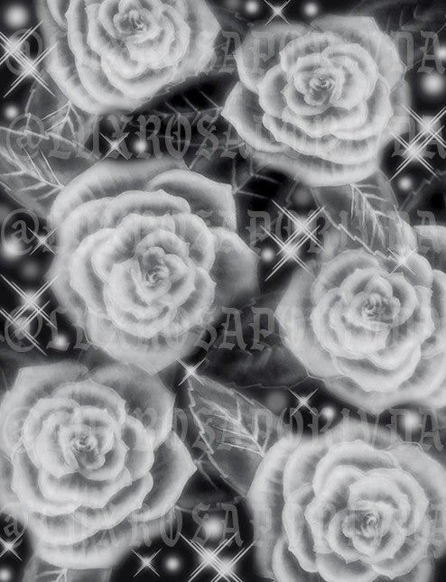Airbrush Early 2000s Y2K 'Give Me My Flowers' Old School 90s Glamour Shots Backdrop (GREY/BLACK) (Extra Large)