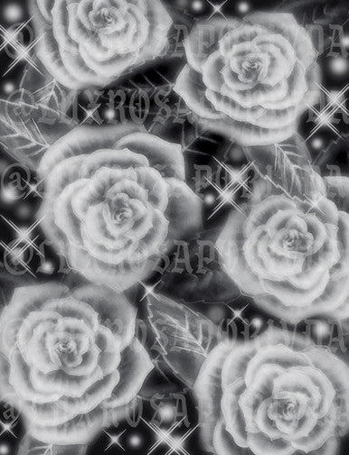 Airbrush Early 2000s Y2K 'Give Me My Flowers' Old School 90s Glamour Shots Backdrop (GREY/BLACK) (Extra Large)