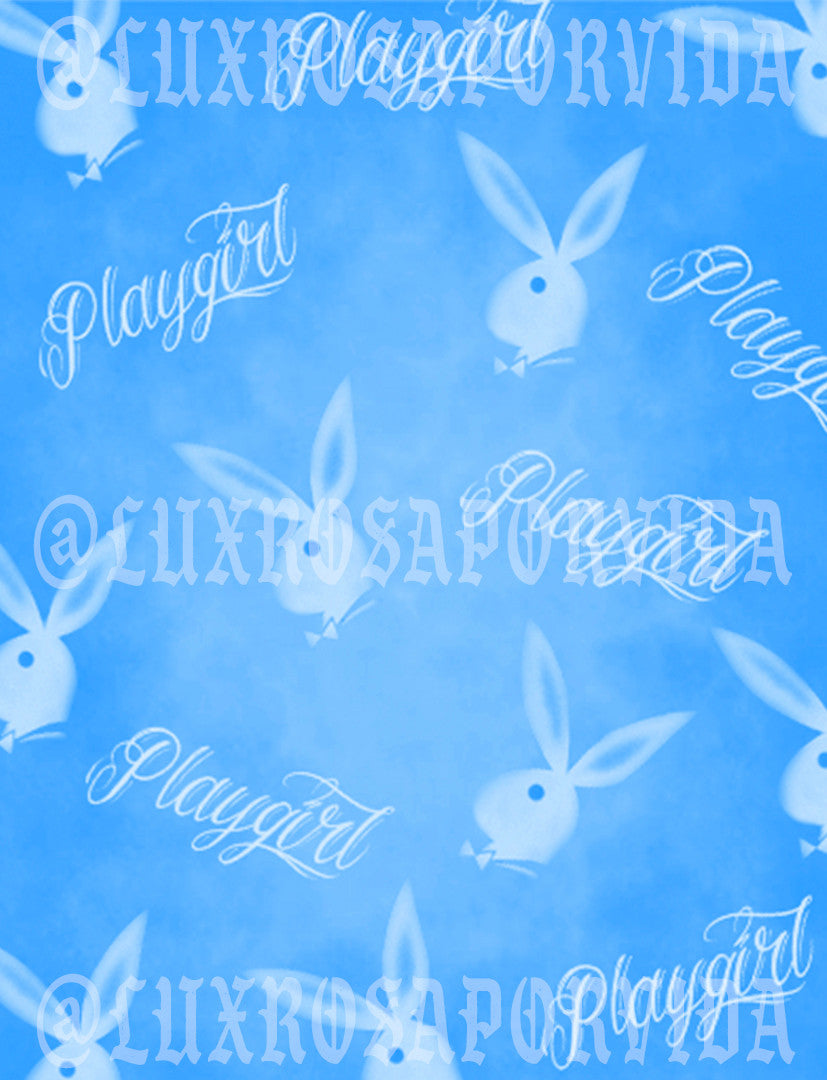 Glamour Shotz PLAY ON PLAYGIRL Airbrushed Backdrop BABY BLUE (X-Large)