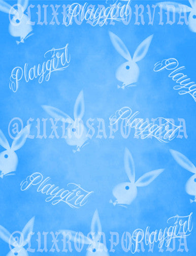 Glamour Shotz PLAY ON PLAYGIRL Airbrushed Backdrop BABY BLUE (X-Large)