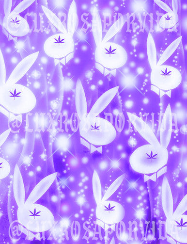 LIMITED EDITION 'LIT PLAYA FOR REAL' Airbrushed Glamour Shotz Backdrop (LAVENDER) (XL)