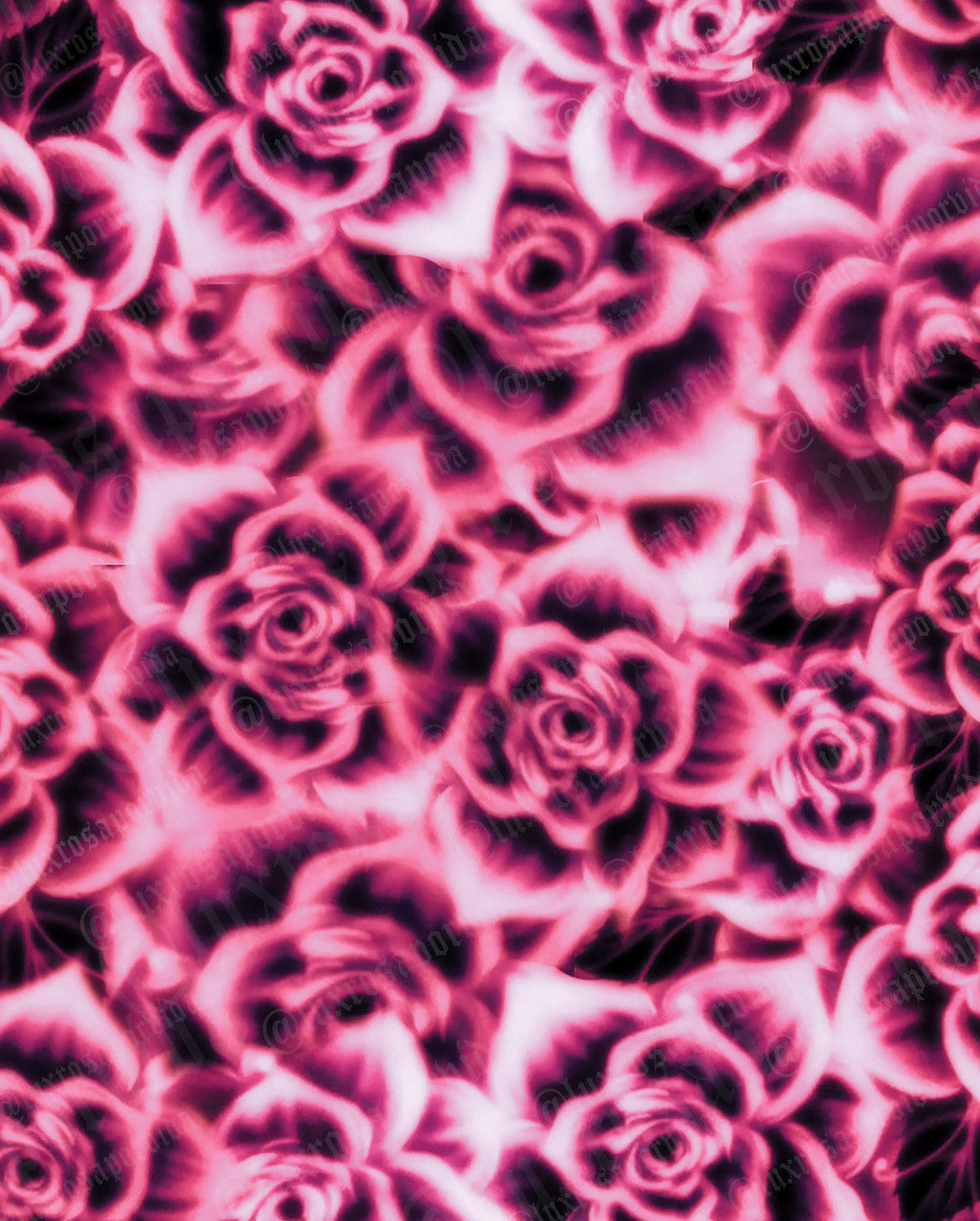 Glamour Shotz ROSAS (Deep Magenta) Airbrushed Backdrop MAGENTA (Extra Large)