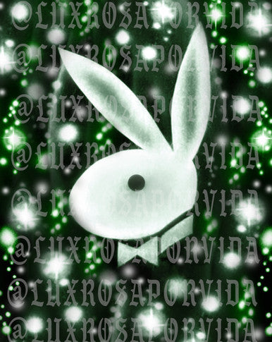 Glamour Shotz 'Player's Money' Airbrushed Backdrop (X-Large) GREEN