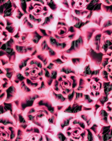 Glamour Shotz ROSAS (Deep Magenta) Airbrushed Backdrop MAGENTA (Extra Large)
