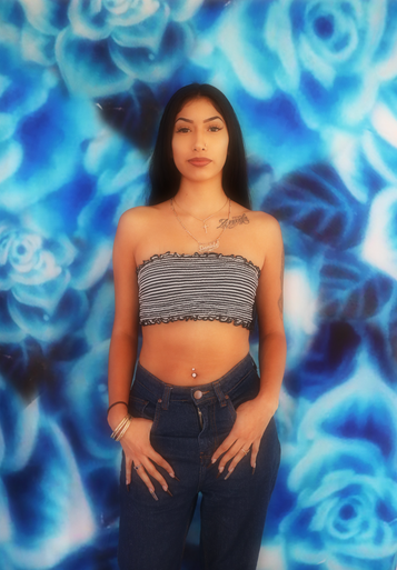 Glamour Shotz SEA OF ROSES Airbrushed Backdrop Blue (Extra Large)