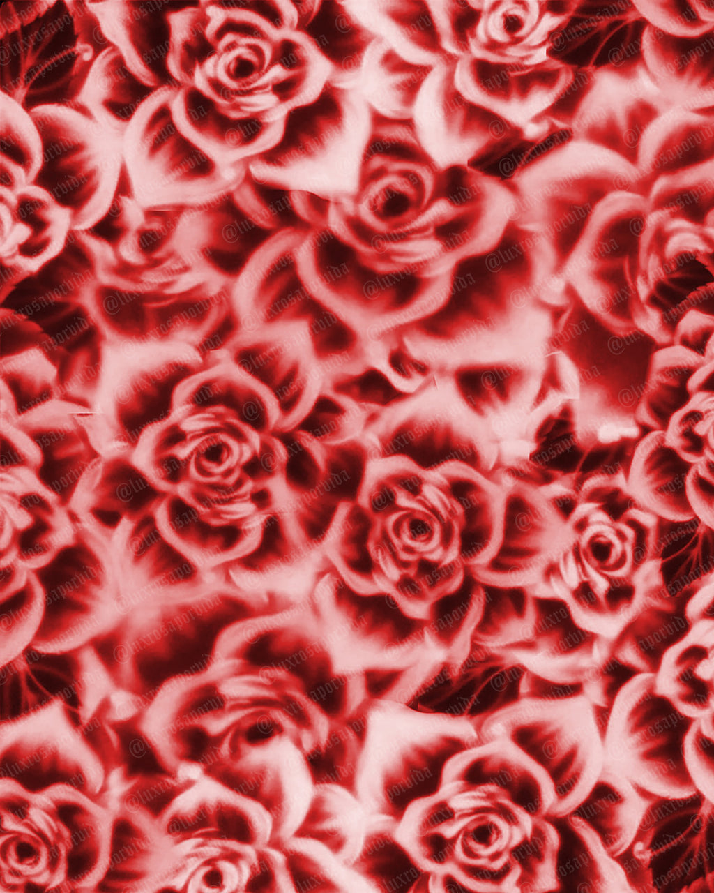 Early 2000s Y2K 'ROSAS ROJAS' Airbrush 90s Old School Rose Backdrop RED (Extra Large)
