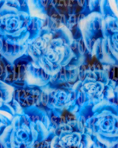Glamour Shotz SEA OF ROSES Airbrushed Backdrop Blue (Extra Large)